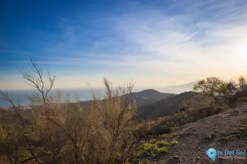 30000m2 Plot for Sale in Moclinejo-59115