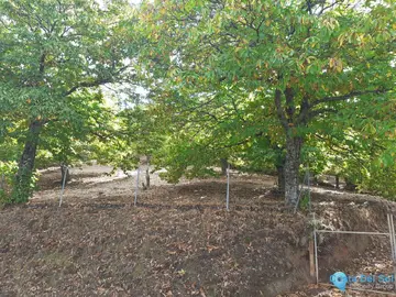 9696m2 Plot for Sale in Pujerra