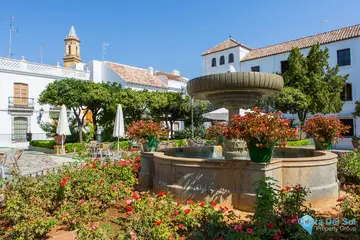 565m2 Plot for Sale in Estepona-59424