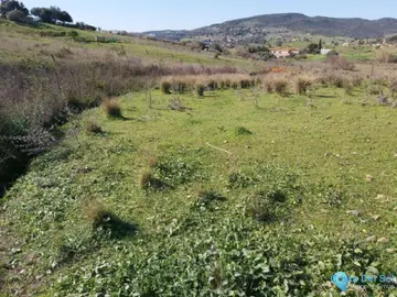 2689m2 Plot for Sale in Estepona