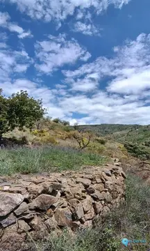 118358m2 Plot for Sale in Málaga-59476