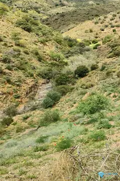 118358m2 Plot for Sale in Málaga-59479