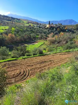 13500m2 Plot for Sale in Coín