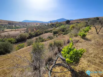 13500m2 Plot for Sale in Coín-59510