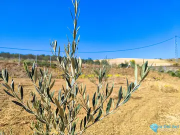 13500m2 Plot for Sale in Coín-59513