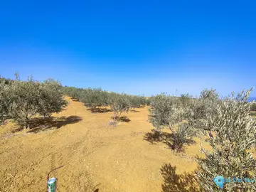 13500m2 Plot for Sale in Coín-59514