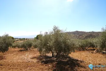 18606m2 Plot for Sale in Zalea-59532