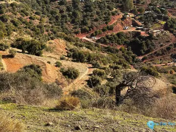 5000m2 Plot for Sale in Málaga-59813