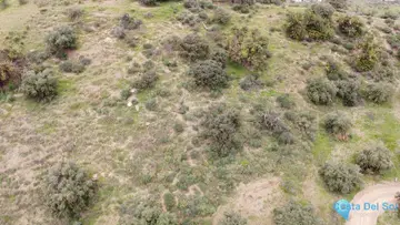 5000m2 Plot for Sale in Málaga-59824
