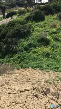 627m2 Plot for Sale in Torreguadiaro-60147