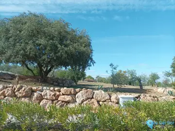 1185m2 Plot for Sale in Alhaurín el Grande-60398