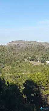7632m2 Plot for Sale in Selwo-60425