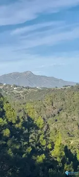 7632m2 Plot for Sale in Selwo-60428
