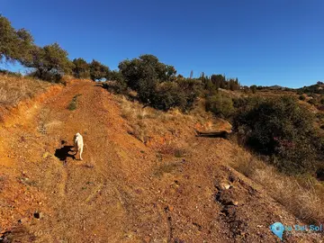 5000m2 Plot for Sale in Málaga-60453