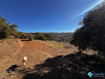 5000m2 Plot for Sale in Málaga-60454