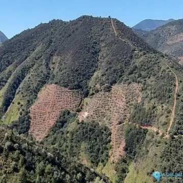 36230m2 Plot for Sale in Monda