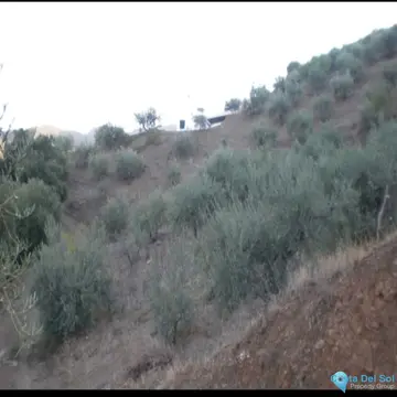 36230m2 Plot for Sale in Monda-60508