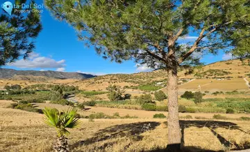 3 bedroom House for Sale in Pizarra-547