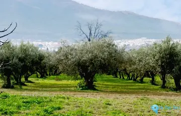 180000m2 Plot for Sale in Alhaurín el Grande