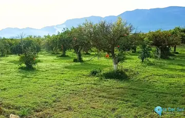 180000m2 Plot for Sale in Alhaurín el Grande-60820
