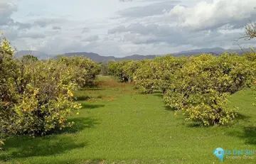 180000m2 Plot for Sale in Alhaurín el Grande-60821