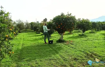 180000m2 Plot for Sale in Alhaurín el Grande-60823