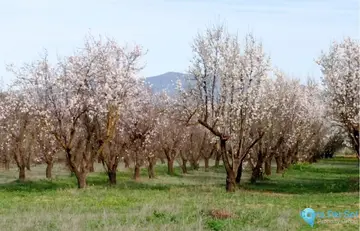 180000m2 Plot for Sale in Alhaurín el Grande-60824