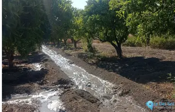 180000m2 Plot for Sale in Alhaurín el Grande-60828