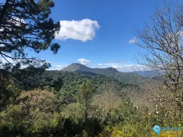 83000m2 Plot for Sale in Gaucín