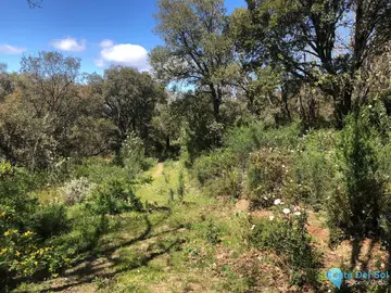 83000m2 Plot for Sale in Gaucín-60954