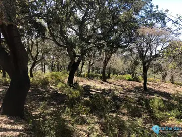 83000m2 Plot for Sale in Gaucín-60956
