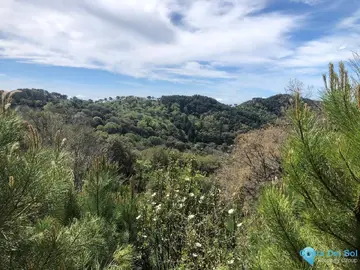 83000m2 Plot for Sale in Gaucín-60962