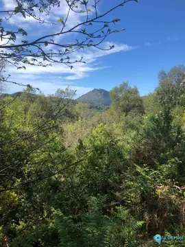 83000m2 Plot for Sale in Gaucín-60964