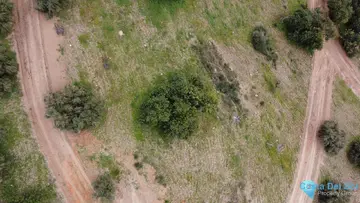 5000m2 Plot for Sale in Málaga-60999