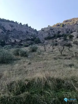 143502m2 Plot for Sale in Alora-61223