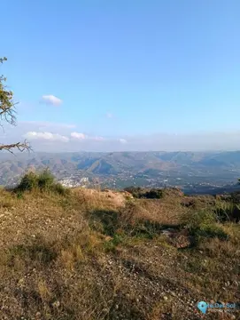 143502m2 Plot for Sale in Alora-61227