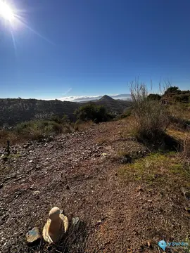 5000m2 Plot for Sale in Málaga-61485