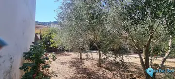 4 bedroom House for Sale in Cortes de la Frontera-61799