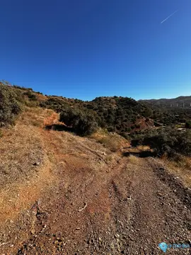 5000m2 Plot for Sale in Málaga-62662