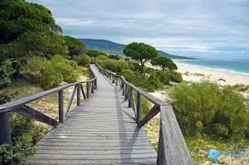 5360m2 Plot for Sale in Tarifa-62857
