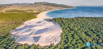5360m2 Plot for Sale in Tarifa-62859