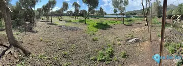 5360m2 Plot for Sale in Tarifa-62866