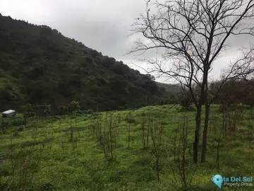 3674m2 Plot for Sale in Estepona-63435