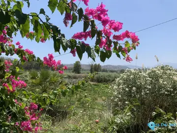 17855m2 Plot for Sale in Coín-63458