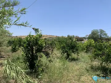 17855m2 Plot for Sale in Coín-63472