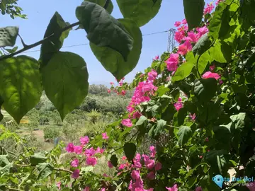 17855m2 Plot for Sale in Coín-63461
