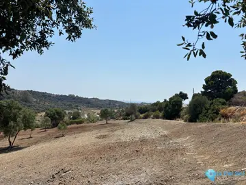 8900m2 Plot for Sale in Estepona-65440