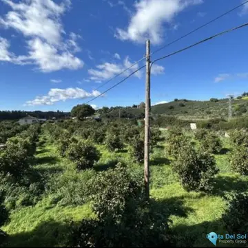 5 bedroom House for Sale in San Martín de Tesorillo-66412