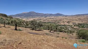25000m2 Plot for Sale in Coín