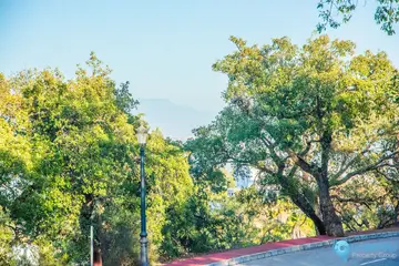 1563m2 Plot for Sale in La Mairena-67290